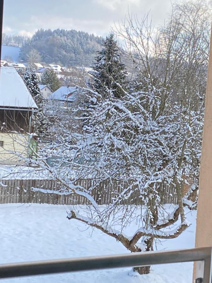 Grosszuegig Und Komfortabel:Ferienwohnung Im Bayerischen Wald! Wiesenfelden Dış mekan fotoğraf